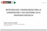 BIOTECNOLOGÍA Y BIOSEGURIDAD PARA LA CONSERVACIÓN Y USO SOSTENIBLE DE …bioseguridad.minam.gob.pe/wp-content/uploads/2018/04/... · 2018-04-09 · Preparación del pan con levadura