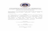 UNIVERSIDAD NACIONAL DE CHIMBORAZOdspace.unach.edu.ec/bitstream/51000/2343/2/UNACH-EC-IPG... · 2016-07-12 · universidad nacional de chimborazo vicerrectorado de posgrado e investigaciÓn