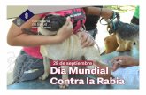 Monitor DÍA MUNDIAL CONTRA LA RABIA 2019ss.pue.gob.mx/wp-content/uploads/2019/09/DIA-MUNDIAL... · 2019-09-25 · La rabia es una enfermedad prevenible mediante vacunación que afecta