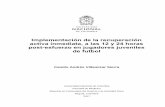 Implementación de la recuperación activa inmediata, a las ...bdigital.unal.edu.co/56805/7/Camilo Andrés Villamizar Sierra.2017.pdf · Implementación de la recuperación activa