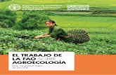 EL TRABAJO DE LA FAO SOBRE AGROECOLOGÍA · sistemas agrícolas de recursos intensivos han contribuido a la deforestación, la escasez de agua, la pérdida de biodiversidad, el agotamiento