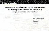 Cultivo del espárrago en el Nor Oeste de Europa; técnicas ...ipeh.com.pe/presentaciones/11-de-noviembre/15Piet_Beurskens_Cult… · Cultivo del espárrago en el Nor Oeste de Europa;