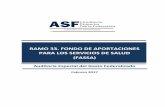 FONDO DE APORTACIONES PARA EL RAMO 33. FONDO DE ...€¦ · Procedimientos de Auditoría Los principales procedimientos de auditoría aplicados al fondo FASSA a la Secretaría de