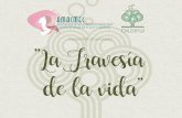 Presentan el proyecto: ”La Travesía de la vida”€¦ · Rio Madre de Dios (Aﬂuente del amazonas) Amazonas: ... (federación española contra el cáncer de mama). Actualmente