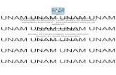 UNAM UNAM UNAM UNAM...valor para las probabilidades a posteriori son para la clase 1 de 0.0161 y para la clase 2 de 0.0804, por lo que el patrón x se asigna a la clase 2. Finalmente,