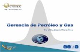 Por el Dr. Alfredo Viloria Vera de apoyo 2... · • Punto de rocío de hidrocarburo del gas ... trazas ( H2S ,CO2, mercaptanos) Punto de rocio de agua e hidrocarburos Densidad Densidad