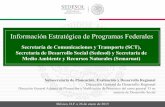 Información Estratégica de Programas Federales€¦ · Contribuir a dotar de esquemas de seguridad social que protejan el bienestar socioeconómico de la población en situación