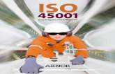 SOCIEDAD ESPAÑOLA DE SALUD Y SEGURIDAD EN EL TRABAJO - … · 2018-08-20 · ISO 45001 1 Origen y evolución de OHSAS 18001 a ISO 45001. 5 2 Requisitos del sistema de gestión. Objetivos