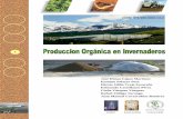 ISBN: 978-968-9304-14-2faz.ujed.mx/Posgrado/maos/AUTOEVALUACION/CATEGORIAS/3... · 2011-03-21 · 614.86 U848u 2007 Producción orgánica en invernaderos / autor... López Martínez