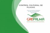 CONTROL CULTURAL DE PLAGAS - Grepalma...CONTROL CULTURAL Crear un agroecosistema menos favorable para las plagas. Inducir características de menor susceptibilidad al ataque de plagas