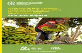 Prevención de la propagación y la introducción de la ...Prevención de la propagación y la introducción de la marchitez del banano por Fusarium Raza 4 tropical (R4T) Guía para