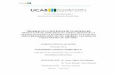 MEJORAS EN LA EFICIENCIA DE UN SISTEMA DE PRODUCCIÓN …biblioteca2.ucab.edu.ve/anexos/biblioteca/marc/texto/AAT4705.pdf · “mejoras en la eficiencia de un sistema de producciÓn