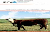 1 de 45 - produccion-animal.com.ar...Cuadernillo técnico - IPCVA La condición corporal relacionada con la alimentación Sabemos que la estacionalidad de los re-cursos forrajeros