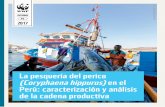 INFORME PE 2017 · 2017-05-31 · INFORME PE La pesquería del perico (Coryphaena hippurus) en el ... Formato de encuesta virtual para los profesionales del SEPA de PRODUCE... 44