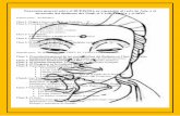 jornadaindia.com.arjornadaindia.com.ar/wp-content/uploads/2015/02/alvisa_23jun16.pdfPanorama general sobre el BUDISMO, su expansión al resto de Asia, y el desarrollo del Budismo del