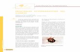PRINCIPALES ECTOPARASITOSIS DEL CONEJO · 2012-06-18 · Lesiones típicas de la sarna auricular del conejo (cortesía Lab. Sobrino). gión ocular y auricular, con costras y arru-gas.