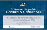 Sociedades de Garantía Recíproca: un nuevo proyecto para Chile · 2008-12-12 · que persiguen controlar el riesgo moral en su relación con el sistema financiero