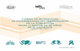 CARGA DE MORTALIDAD DE ENFERMEDADES NO …ins.salud.gob.sv/wp-content/uploads/2018/07/Carga... · Carga de mortalidad de enfermedades no transmisibles en población mayor de 20 años