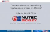 “Innovación en las pequeñas y medianas empresas en México ... · • Destinar presupuesto a sistemas de administración, tecnologías de información, maquinaria y equipo, ...