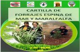 CARTILLA DE FORRAJES ESPINA DE MAR Y MARALFALFAagro.umsa.bo/wp-content/uploads/2019/03/Cartilla-espina... · 2019-03-13 · esencial en los alimentos constituido por cadenas de ...