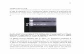 14 Identificación por PCR De los cultivos analizados con .... 2005 Parte2.pdf · sobrevivir en el contenido ruminal gracias a sus habilidades para degradar celobiosa y habitar ambientes
