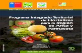 Programa integrado territorial de hortalizas para la Región de …biblioteca.inia.cl/medios/biblioteca/boletines/NR40212.pdf · 2017-06-22 · 2 Boletín INIA, Nº 304 Programa integrado