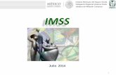 IMSS - Inicio · 2017-06-29 · Instituto Mexicano del Seguro Social Delegación Regional Veracruz Norte Jefatura de Afiliación Cobranza A que tienen derecho? 5 • En todos los