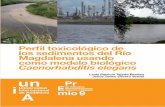 Perfil toxicológico de Pr los sedimentos del Río E ...€¦ · Caribona, Boque, Bagre, Guavas y Guadalajara, entre otros. La minería del oro también ha impactado la región de