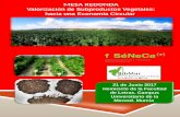 MESA REDONDA Valorización de Subproductos Vegetales: hacia …biotec2017.um.es/docs/triptico_mesa_redonda.pdf · 2017-05-31 · de los recursos vegetales, con la organización de