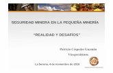 Sociedad Nacional de Minería - SEGURIDAD MINERA EN LA ...€¦ · Certificado de antecedentes para fines especiales Certificado de Residencia Certificado notarial o de empresa que