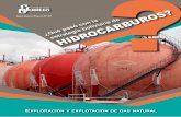 E y Explotación dE naturalredextractivas.org/.../2017/10/Estrategia_Hidrocarburos.pdf · 2018-09-10 · 6 ¿Qué se plantea sobre exploración y explotación de los hidrocarburos?