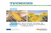 Resultados de la red de ensayos de variedades de maíz y girasol … · 2015-07-22 · Se aportan también como referencia los resultados de cultivo de maíz en regadío en el periodo