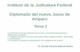 Instituto de la Judicatura Federal Diplomado del nuevo ... · Instituto de la Judicatura Federal Diplomado del nuevo Juicio de Amparo Dr. Germán Eduardo Baltazar Robles Tema 2 2.1