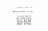 EJE MERCOSUR-CHILE PROVINCIAS DE ARGENTINA · 2013-03-27 · forma, el cultivo del té en Misiones es representativo a nivel nacional y la producción se destina mayoritariamente