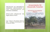Lineamiento 02 PROYECTOS DE DESARROLLO Desarrollo … · Unidad Formuladora de Proyectos DRAP Lineamiento 02 Desarrollo Forestal PROYECTOS DE INVERSIÓN ... ENTRADAS AL BOSQUE SECO