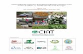 Vulnerabilidad y estrategias de adaptación al …...Vulnerabilidad y estrategias de adaptación al cambio climático en los medios de vida de las familias cafetaleras de Nicaragua