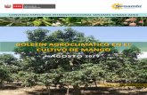 BOLETÍNAGROCLIMÁTICO EN EL CULTIVO DE MANGO · El presente boletín agroclimático en el cultivo de mango constituye un producto técnico en el marco del Convenio Específico Interinstitucional