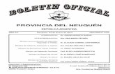 PROVINCIA DEL NEUQUÉN - Boletín Oficial - Gobierno de la ...boficial.neuquen.gov.ar/pdf/bo13010403332.pdf · 10.680.206, y de profesión Minero, ante usted se presenta y manifiesta: