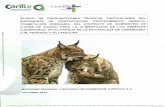 perfilcontratante.cantur.com · Actualmente, el Parque de la Naturaleza de Cabárceno cuenta con 7 especies de animales carnívoros. Seis de ellas, se tratan de grupos notoriamente