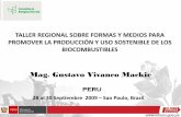 Mag. Gustavo Vivanco Mackie - CBD · 2009-10-08 · •El Perú está entre los 12 países con mayor biodiversidad del planeta y en ese sentido cuenta con ventajas comparativas para