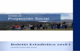 Función Proyección Socialproyeccionsocial.usta.edu.co/images/BoletinEstadistico... · 2018-09-21 · 18-i 1 boletín estadístico 2018-i función proyección social vicerrector