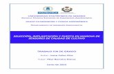UNIVERSIDAD POLITÉCNICA DE MADRID ESCUELA TÉCNICA … · agua de riego y la disminución de la contaminación potencial con agro-químicos. 2.2. Finalidad del proyecto La finalidad