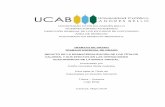 UNIVERSIDAD CATÓLICA ANDRÉS BELLO DIRECCIÓN GENERAL DE LOS …biblioteca2.ucab.edu.ve/anexos/biblioteca/marc/texto/AAU3505.pdf · la cosificación de los derechos, expresados en