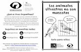 ¿Qué es Aves Argentinas?...trasladan a los animales hasta los sitios de venta en terribles condiciones: ¡¡sin agua, comida ni aire!! Extraer animales de la naturaleza provoca que