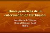 Bases genéticas de la enfermedad de Parkinson · 2013-03-15 · Bulbo olfativo y bulbo raquídeo. ... Células poco protegidas (del bulbo olfatorio, sistema autonómico, rafé magno),