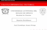 Cأ،lculo Diferencial Vectorial 2017-04-23آ  Cأ،lculo Diferencial Vectorial CأپLCULODIFERENCIALVECTORIAL
