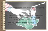 “EL CAPITALISMO BUROCRÁTICO EN LA AMAZONIA · formas de organización económica resultado de la crisis capitalista. A partir de los años 90, la educación destacó en el conjunto