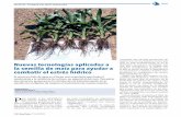 Nuevas tecnologías aplicadas a la semilla de maíz para ...Acción de los bioestimulantes en las raíces del maíz Diferencia de producción en diversas condiciones Al introducir