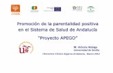 Promoción de la parentalidad positiva en el Sistema de Salud de … · 2012-04-16 · Integración de actuaciones para la promoción de parentalidad positiva en el Programa de Salud