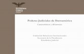 Poderes Judiciales de Iberoamérica · 2015-05-28 · Este documento tiene el objetivo de presentar en forma resumida las características y diferencias del diseño institucional
